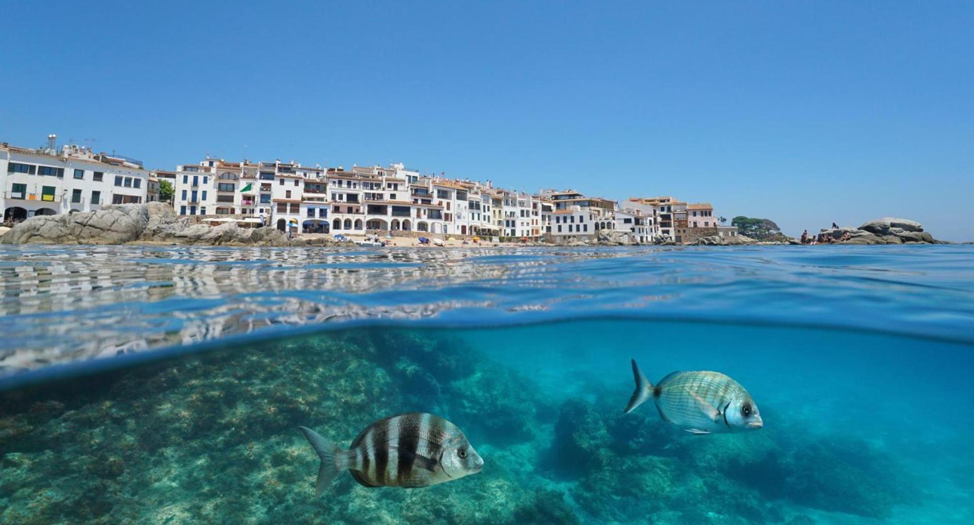 Apartamento Recien Reformado A 300 Metros Del Mar Calella De Palafrugell Esterno foto