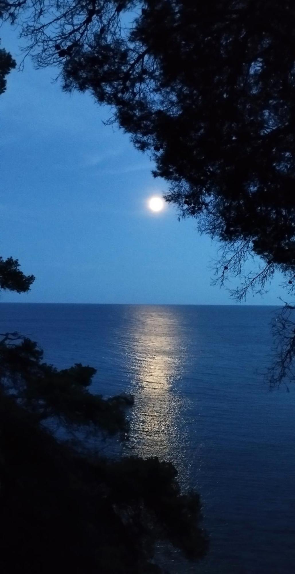 Apartamento Recien Reformado A 300 Metros Del Mar Calella De Palafrugell Esterno foto