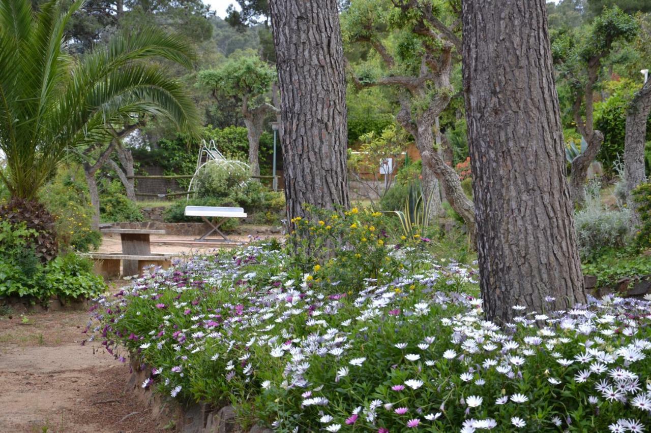 Apartamento Recien Reformado A 300 Metros Del Mar Calella De Palafrugell Esterno foto
