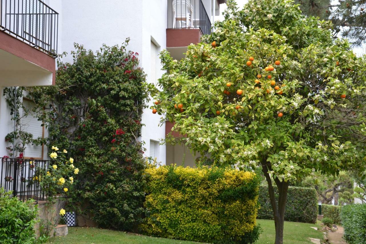 Apartamento Recien Reformado A 300 Metros Del Mar Calella De Palafrugell Esterno foto